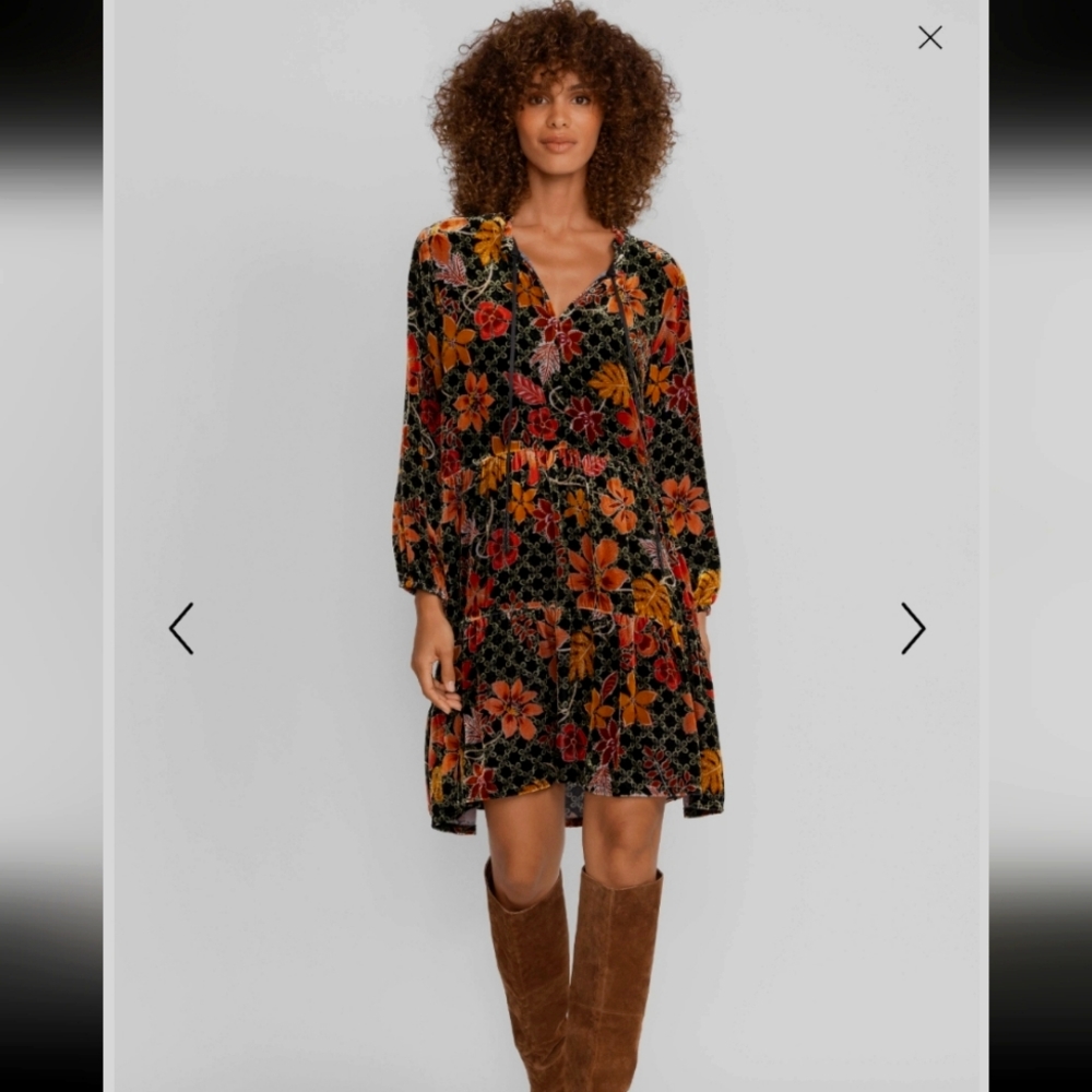 JOHNNY WAS JASMOON FLORE VELVET/SILK FIELD TIERED DRESS SIZE L BNWOT - Picture 1 of 14
